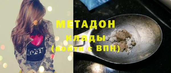 амф Гусев