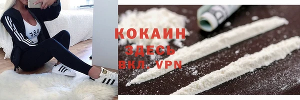 амф Гусев