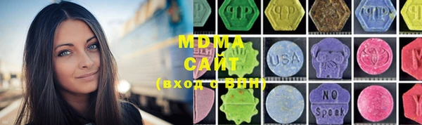 амф Гусев