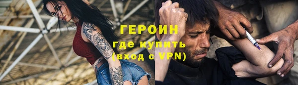 амф Гусев