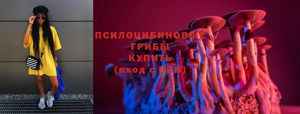 стаф Дмитриев