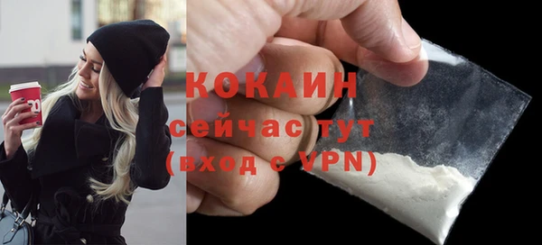 стаф Дмитриев