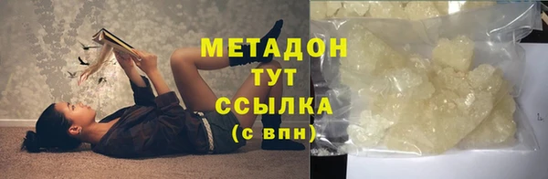 амф Гусев