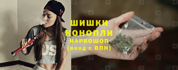 стаф Дмитриев