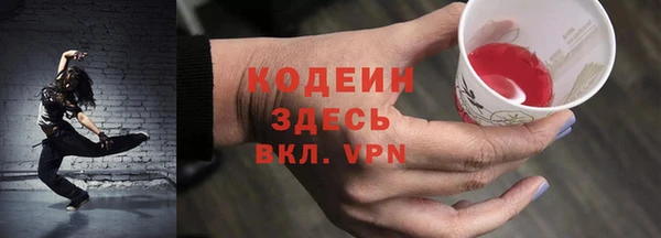 амф Гусев