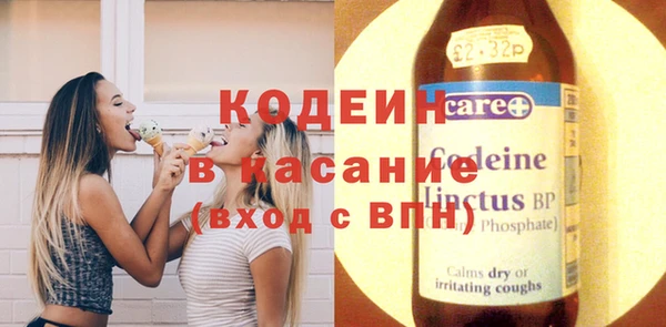 амф Гусев