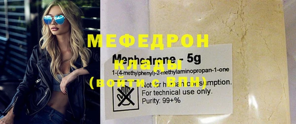 амф Гусев
