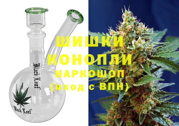 амф Гусев