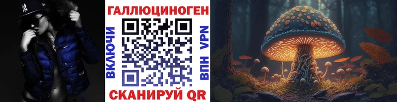 где купить наркоту Сельцо Галлюциногенные грибы GOLDEN TEACHER